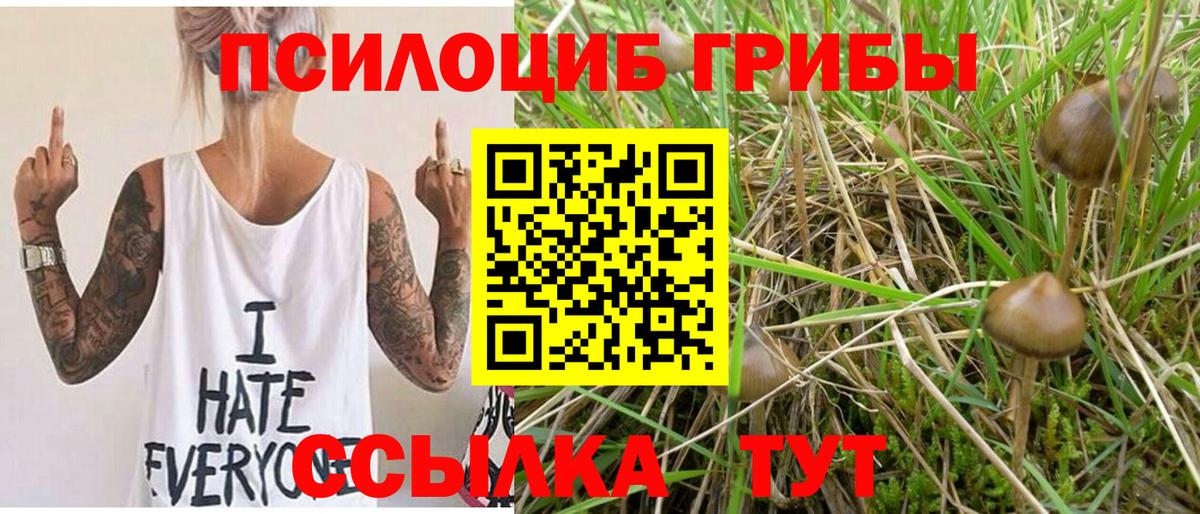Псилоцибиновые грибы ЛСД Большой Камень